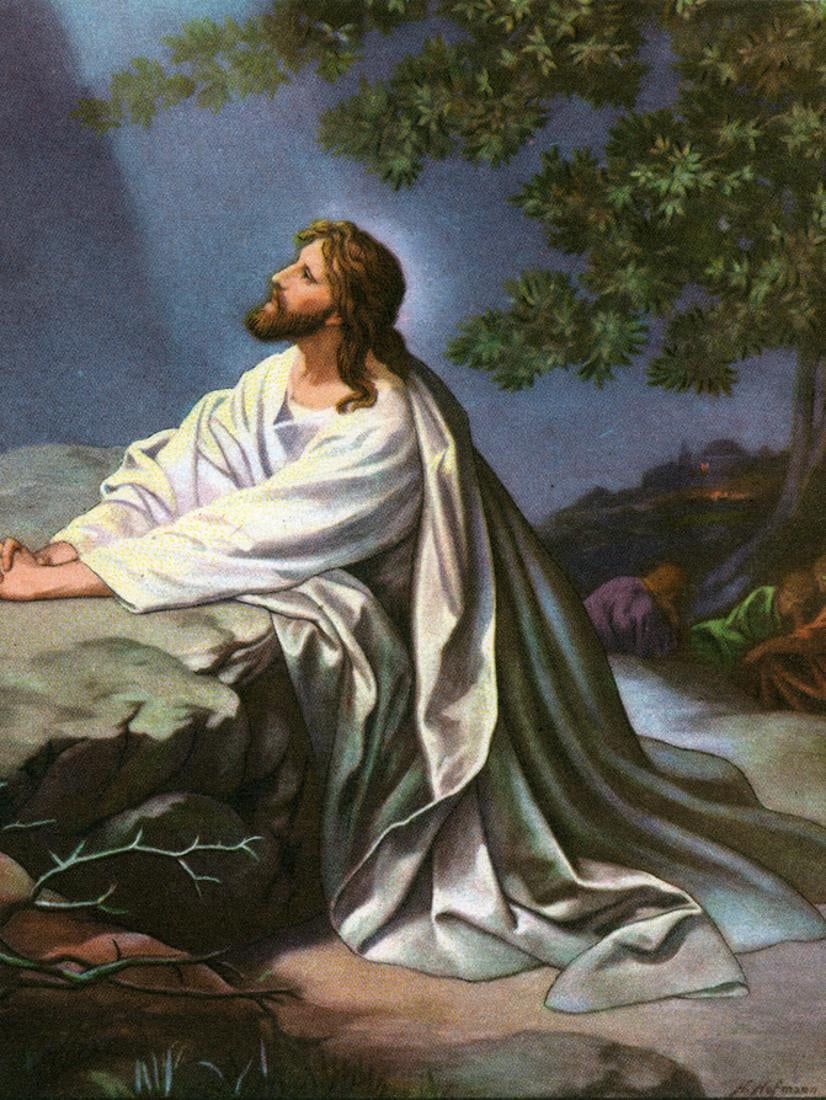 Black Jesus Praying at Gethsemane Rock Wall Picture 8x10 Art Print 