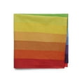 thumbnail image 2 of Women's Stripes Bandana from Way to Celebrate, One Size, Multi, 2 of 3