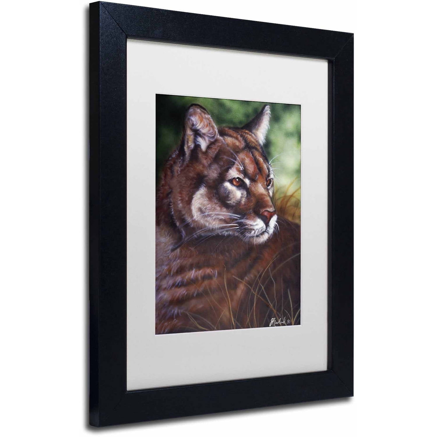 Trademark Fine Art 'Watchful Eyes II' Canvas Art by Jenny Newland, White Matte, Black Frame
