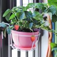 thumbnail image 3 of Monstrate Plant Small Design Pot Stand Plant And Indoor Indoor Indoor Plant Plant Minimalist Design With Easy Plant Durable Jardín y Patio Blanco Tamaño grande 25㎝, 3 of 6
