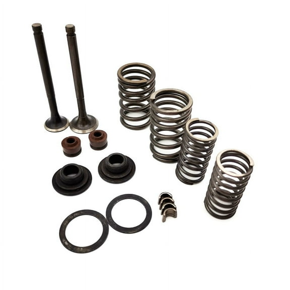 69mm Valve Kit Intake Exhaust Stem Shaft Set for GY6 Scooter Moped 139QMB 100cc