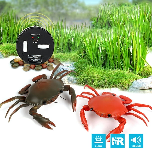 Juguete de cangrejo eléctrico con control remoto, juguete RC con forma de cangrejo simulado con luz