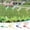 605#as show, variant on 28 Pack Artificial Dragonfly Stakes for Garden Decor, Multicolor Simulation Dragonfly Insert Poles, Lightweight Durable DIY Ornament for Home Store Party Outdoor Indoor