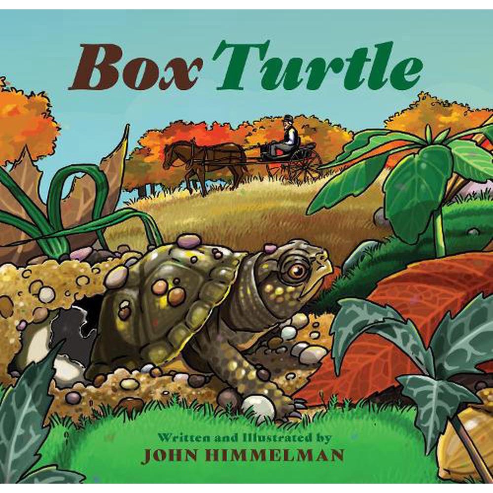 Box Turtle (Hardcover)