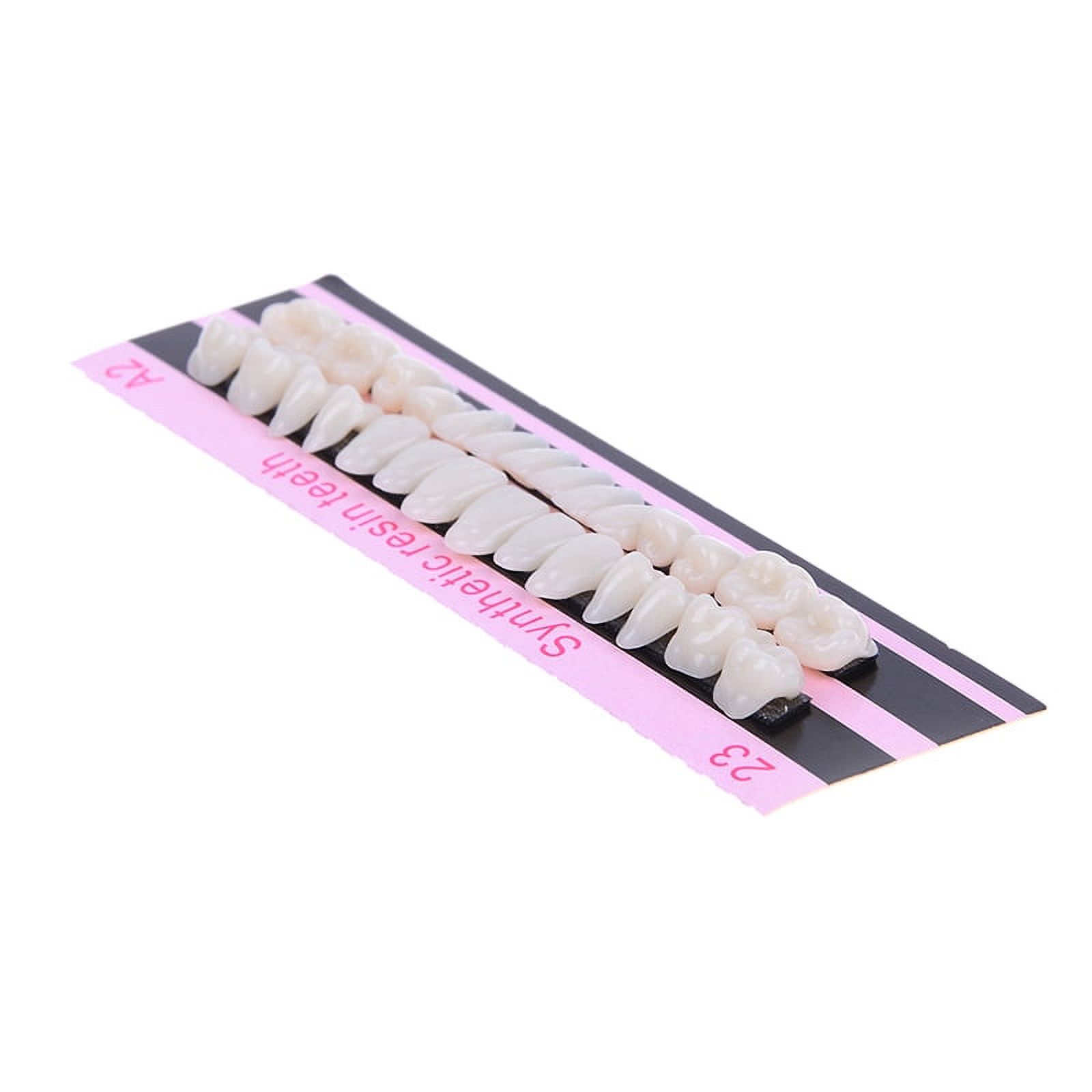 28Pc 1set denture acrylic resin full set teeth upper lower shade 23# A2 dental