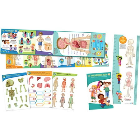 LeapFrog LeapReader Interactive Human Body Discovery Set (works with Tag)