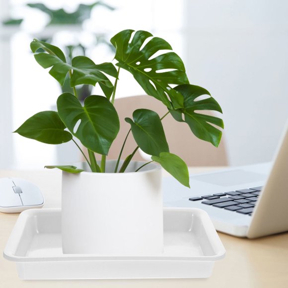 Luxshiny 6Ud Bandejas Plásticas Para Plantas Con Para Y Protección De Superficies