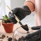 thumbnail image 1 of 2 juegos de mini herramientas de jardinería que incluyen una pala de mano, una pala para trasplantar y un rastrillo de mano con mango de madera. Mini herramienta para jardineras., 1 of 6