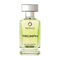 thumbnail image 1 of Perfume KENAZ AROMATIC ARTISTRY TRIUMPH Eau de Parfum 100 ml, 1 of 9