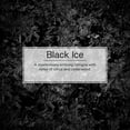thumbnail image 4 of Little Trees Air Freshener Black Ice Fragrance 1-Pack, 4 of 9
