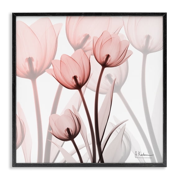 Stupell Industries Modern Red Floral Silhouettes Modern Photograph Black Framed Giclee Art, 12 x 12, by Albert Koetsier