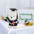 thumbnail image 2 of BRIGHTFUFU 1 set Bear Doll Graduation Gown and Cap Set lindo traje de graduación de animales de peluche de felpa para ceremonias de graduación fiestas y fotos, 2 of 7