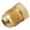 Anderson Metals 754039-08 .5 in. Brass Low Lead Flare Plug
