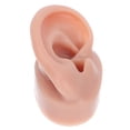 thumbnail image 2 of EeaseMX 1 modelo de oreja de silicona reutilizable, simulación de oreja humana, modelo de perforación de oreja., 2 of 8