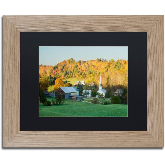 Trademark Fine Art "Fall Pastoral" Canvas Art by Michael Blanchette Photography Black Matte, Birch Frame