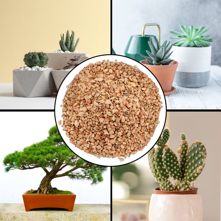 Soil Sunrise Calcined Clay (2 Quarts), Bonsai Tree Soil Additive, Regulates  Moisture, Alternative to Akadama - Walmart.com