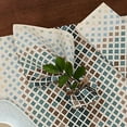 thumbnail image 3 of Ruvanti Cloth Napkins Set of 12 Cotton 100%, 18x18 inches Napkins Cloth Washable, Soft, Absorbent. Cotton Napkins for Parties, Christmas, Thanksgiving, Weddings, Dinner Napkins Cloth - Faded, 3 of 9