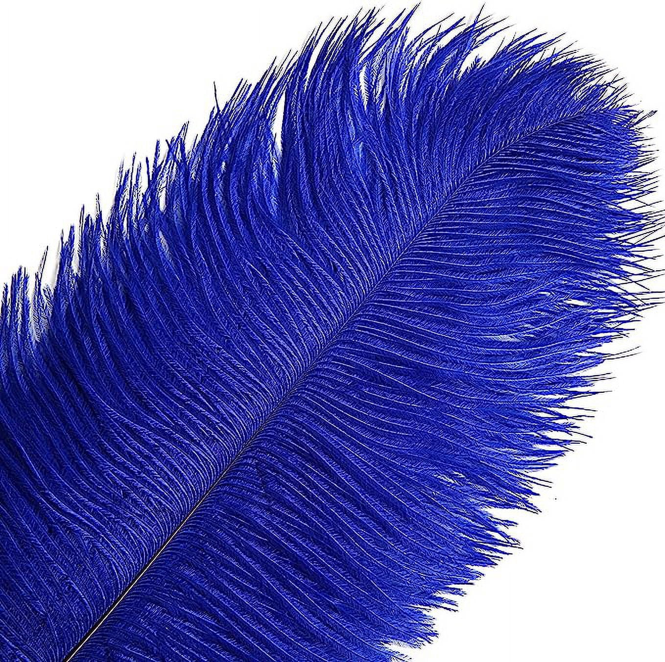 NAMZI 12pcs Blue Bulk Natural Ostrich Feathers 16-18Inch (40cm-45cm), Perfect for Wedding, Party Centerpieces, Easter & Home Decoration