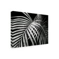 thumbnail image 2 of Debra Van Swearingen 'Palm Fronds' Canvas Art, 2 of 3
