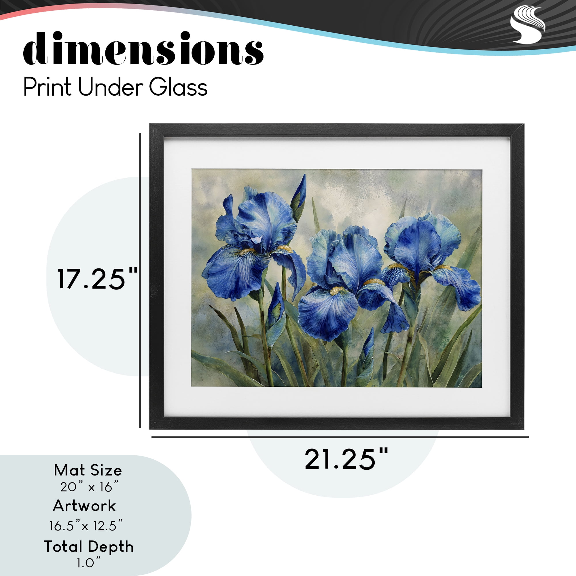 Stupell Industries Drawn Blue Iris Flowers Black Framed Print Under Glass, design by Franklyn Gregory