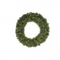 thumbnail image 1 of Vickerman G125638LED Couronne de Grand Teton de 36 Po 210T 100MuLED, 1 of 2