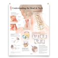 thumbnail image 1 of Laminated Medical Poster Understanding The Head and Neck 22"x28" Wall Diagram Educational Informational Doctors Office Chart, 1 of 2