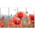 thumbnail image 2 of Soft Poppy Flowers Petals View - Floral Canvas Art Print, 2 of 3