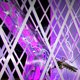 thumbnail image 5 of Matamoscas eléctrico Ndcxsfigh raqueta exterminadora de insectos recargable por USB, 5 of 9
