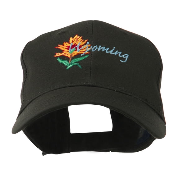 USA State Flower Wyoming Indian Paintbrush Embroidered Cap - Black OSFM