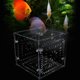 thumbnail image 5 of Caja De Incubación De Pecera Caja De Cría De Pecera Acrílica Para Acuario Tienda De Peces Peceras Hogar ANGGREK Otros, 5 of 8