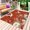 Red, variant on Peony Birds Outdoor Rug for Patio/Deck/Porch, Non-Slip Large Area Rug 5 x 8 Ft, Farmhouse Japanese Budding Flowers Animals Indoor Outdoor Rugs Washable Area Rugs, Reversible Camping Rug Carpet Runner