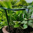 thumbnail image 2 of 6PCS Garden Climbing Trellis Plant Support Cage Sturdy Plastic Stakes for Plant, 2 of 8