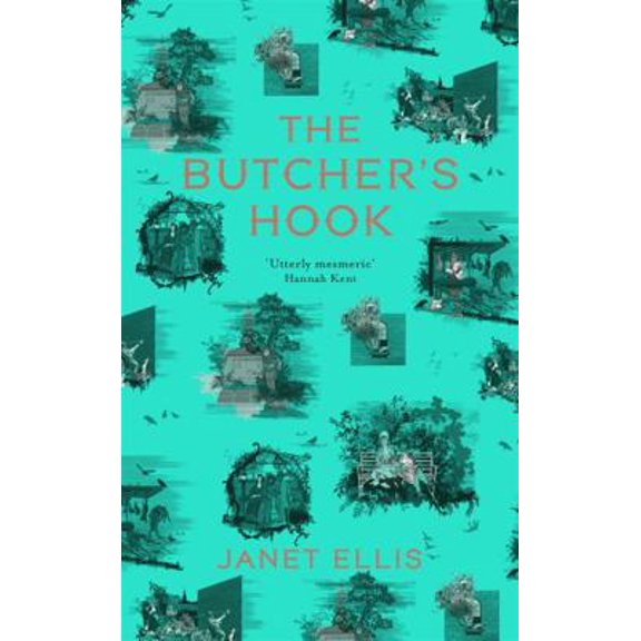 Pre-Owned The Butcher's Hook: Longlisted for the Desmond Elliott Prize 2016 (Hardcover) 1473625114 9781473625112