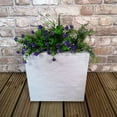 thumbnail image 3 of White Flower Pot, 3 of 3