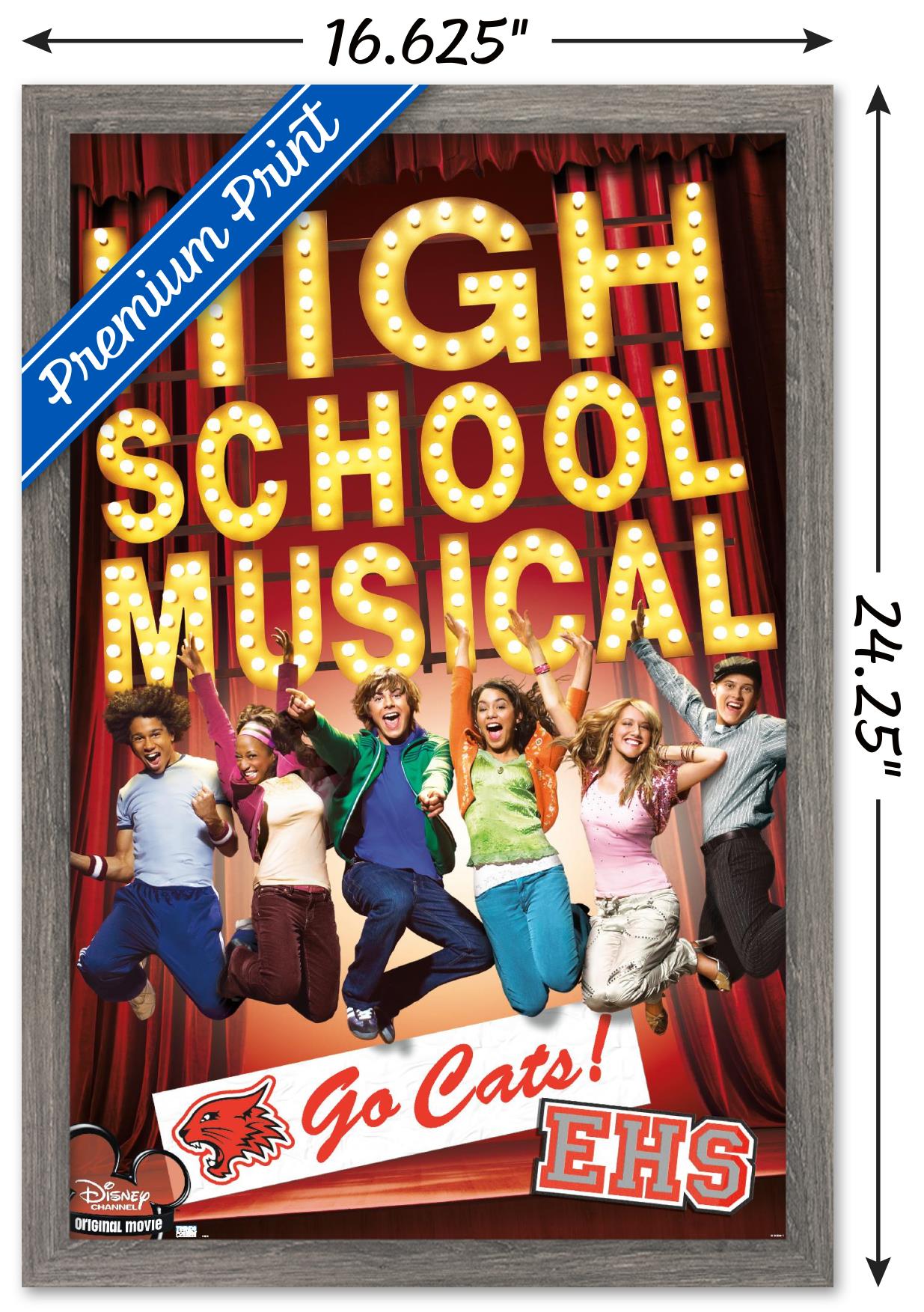High School Musical - Go Cats! Wall Poster, 14.725" x 22.375" Framed