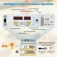thumbnail image 6 of Incubators for Hatching Eggs, 120 Egg Incubator with Automatic Egg Turning and Humidity Monitor,Temperature Control, 5 Automatic Incubation Modes and Incubation Days Record, White, 6 of 18