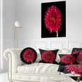 thumbnail image 3 of Designart Chrysanthemum Flower on Black - Flowers Throw Pillowwork - 12x20, 3 of 5