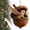 B, variant on Ornaments For Tree,Forest Animal Acorn Ornaments, Forest Christmas Ornaments, Pine Cone Animal Christmas Tree Hangning Ornaments, 2d Acrylic Christmas Decorations For Home Decor
