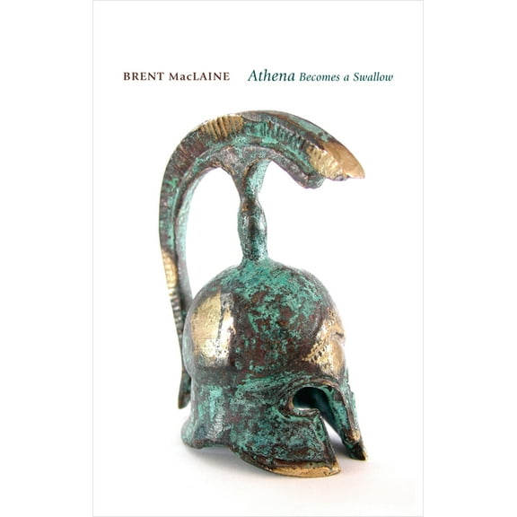 Athena Becomes a Swallow and Other Voices from the Odyssey (Paperback)