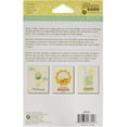 thumbnail image 4 of (2 pack) Jillibean Soup Shaker Cards W/Envelopes 5.5"X4.25" 6/Pkg-Large Circle, 4 of 5