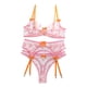 thumbnail image 1 of Conjunto de bragas de sujetador transparente, malla bordada de amor de encaje con aros, ropa interior de mujer, 1 of 6
