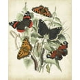 thumbnail image 2 of Vision Studio 15x18 Gold Ornate Wood Framed with Double Matting Museum Art Print Titled - Non-Embellished Butterfly Haven I, 2 of 4