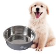 thumbnail image 4 of de acero inoxidable, de alimentación para mascotas, para platos de perro con antideslizantes, comederos medianos y peq , GRIS Yinane Cuencos para gatos, 4 of 6
