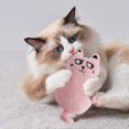 thumbnail image 4 of Juguete chirriante para gatos y perros pequeños con forma brillante de gato, tela de cristal suave, portátil, para juego interactivo y alivio del aburrimiento., 4 of 7