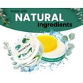 thumbnail image 3 of Shadazzle Natural Super Cleaning Paste and Polish with Scrub Sponge – Eco friendly Multi-purpose Cleaner (Eucalyptus), 3 of 8