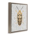 thumbnail image 3 of Stupell Industries French Country Vintage Beetle Floral Pattern Brown Floating Frame Canvas Art, 18 x 18, by Danhui Nai, 3 of 8