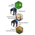 thumbnail image 5 of Primegos Dog Knee Brace for Torn ACL Hind Leg Adjustable Dual Back Leg Support for Luxating Patella Ligament Injuries Osteoarthritis, 5 of 8