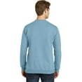 thumbnail image 2 of Essential PigmentDyed Crewneck Sweatshirt, 2 of 2