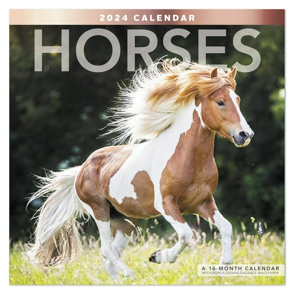 Horses 2024 Monthly Wall Calendar 12 x 12 - Wall Calendars