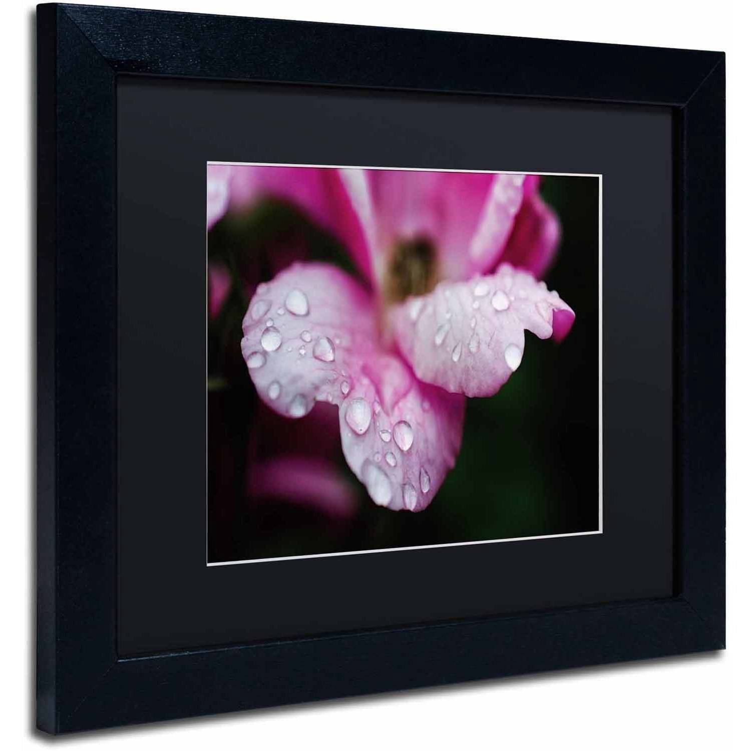 Trademark Fine Art 'Raindrops on Wild Rose Color' Canvas Art by PIPA Fine Art, Black Matte, Black Frame